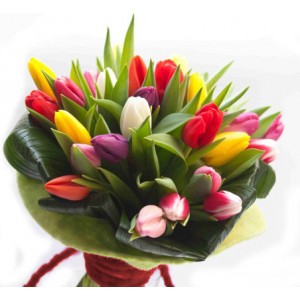 assorted-colorful-tulips